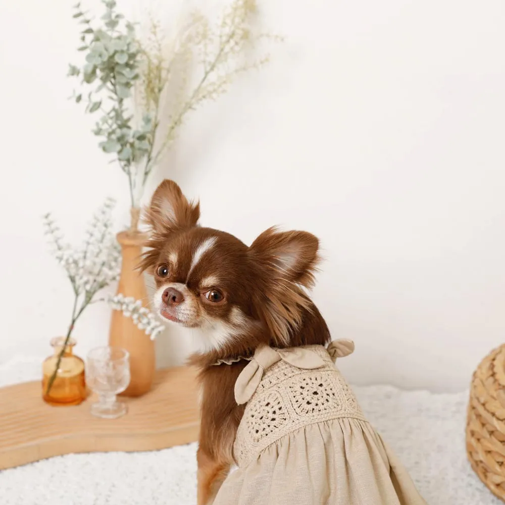 cool knit cami dress - beige