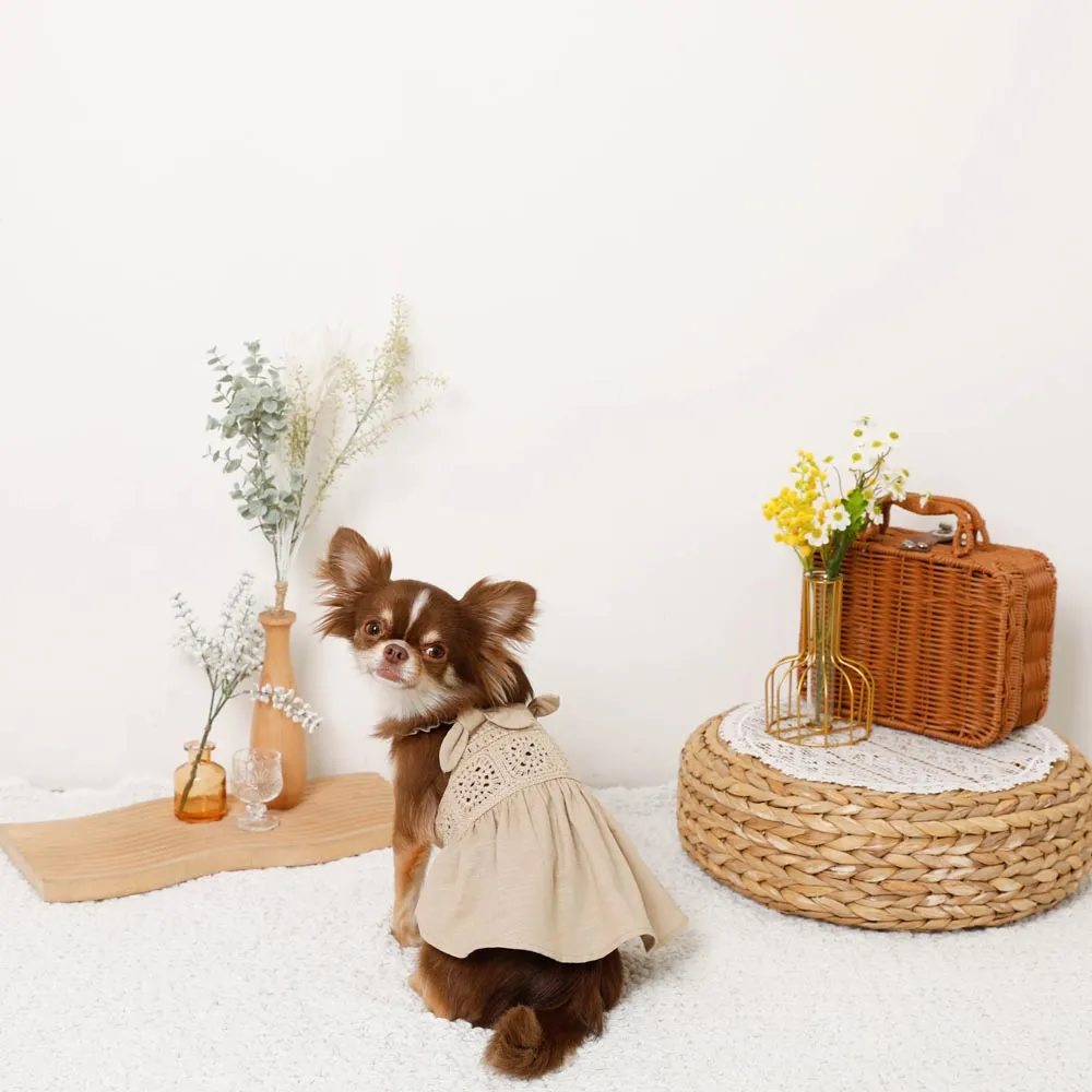 cool knit cami dress - beige