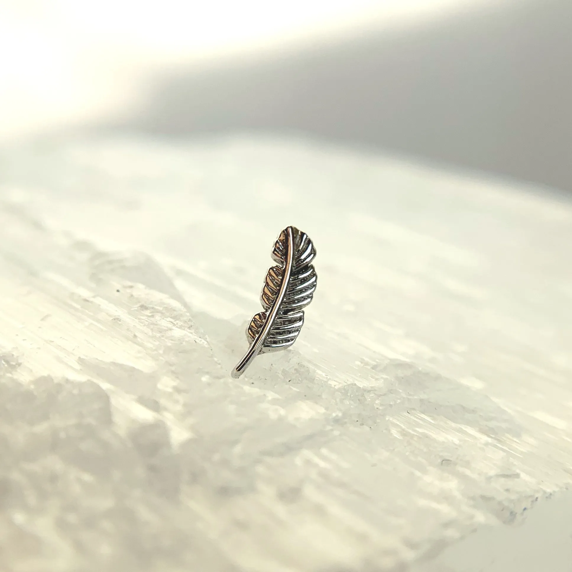 Feather Threadless End