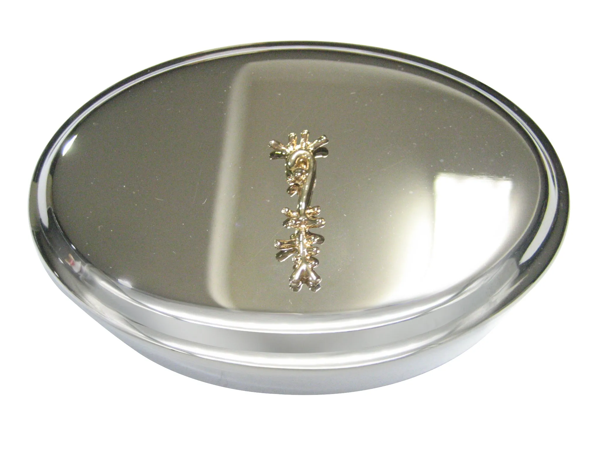 Gold Toned Medical Anatomical Aorta Artery Oval Trinket Jewelry Box