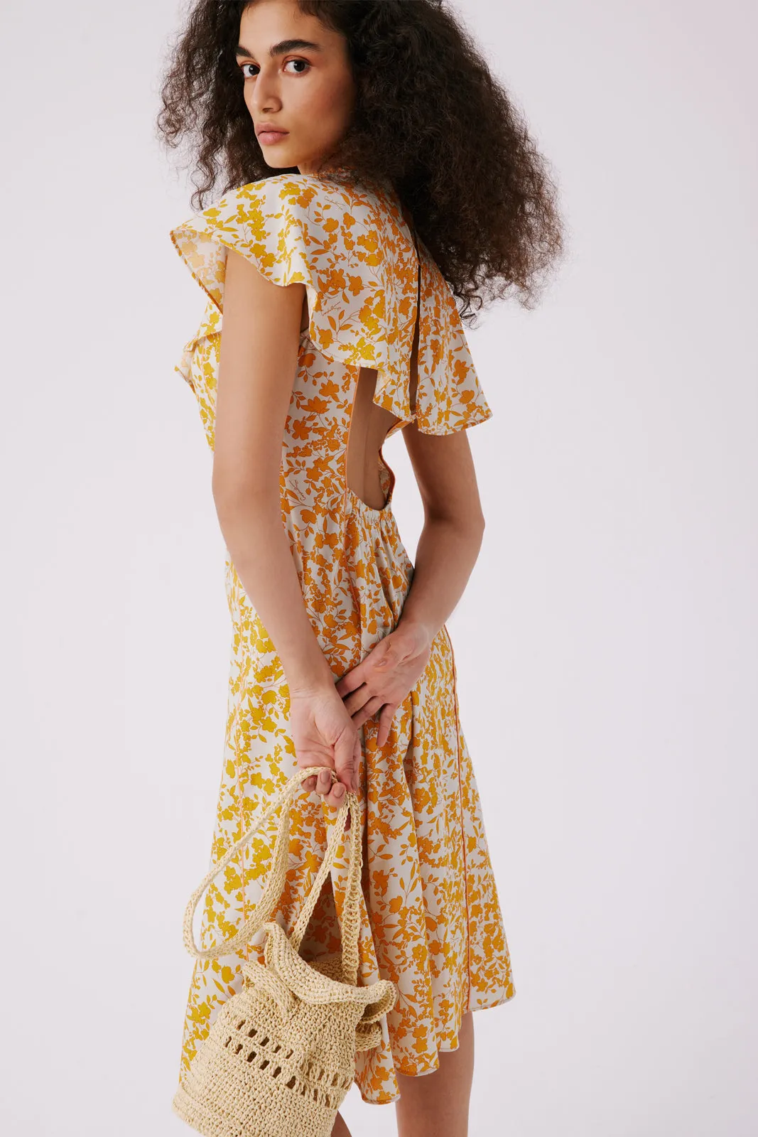 La Cecchina Dress