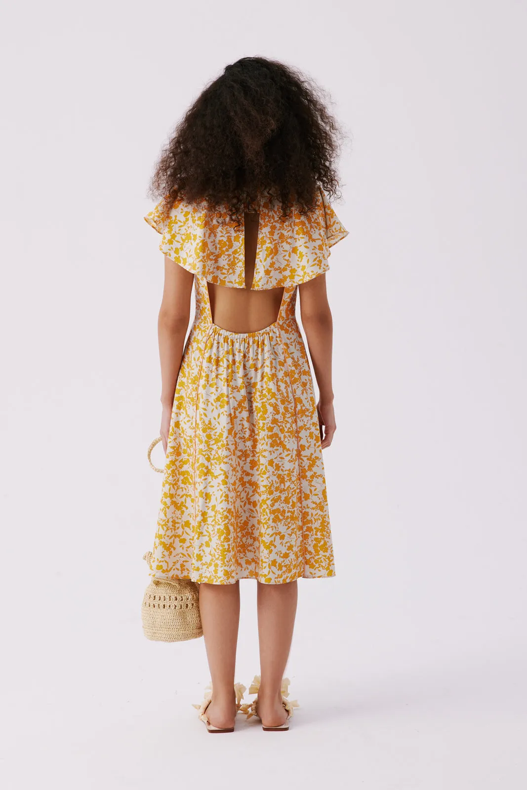 La Cecchina Dress