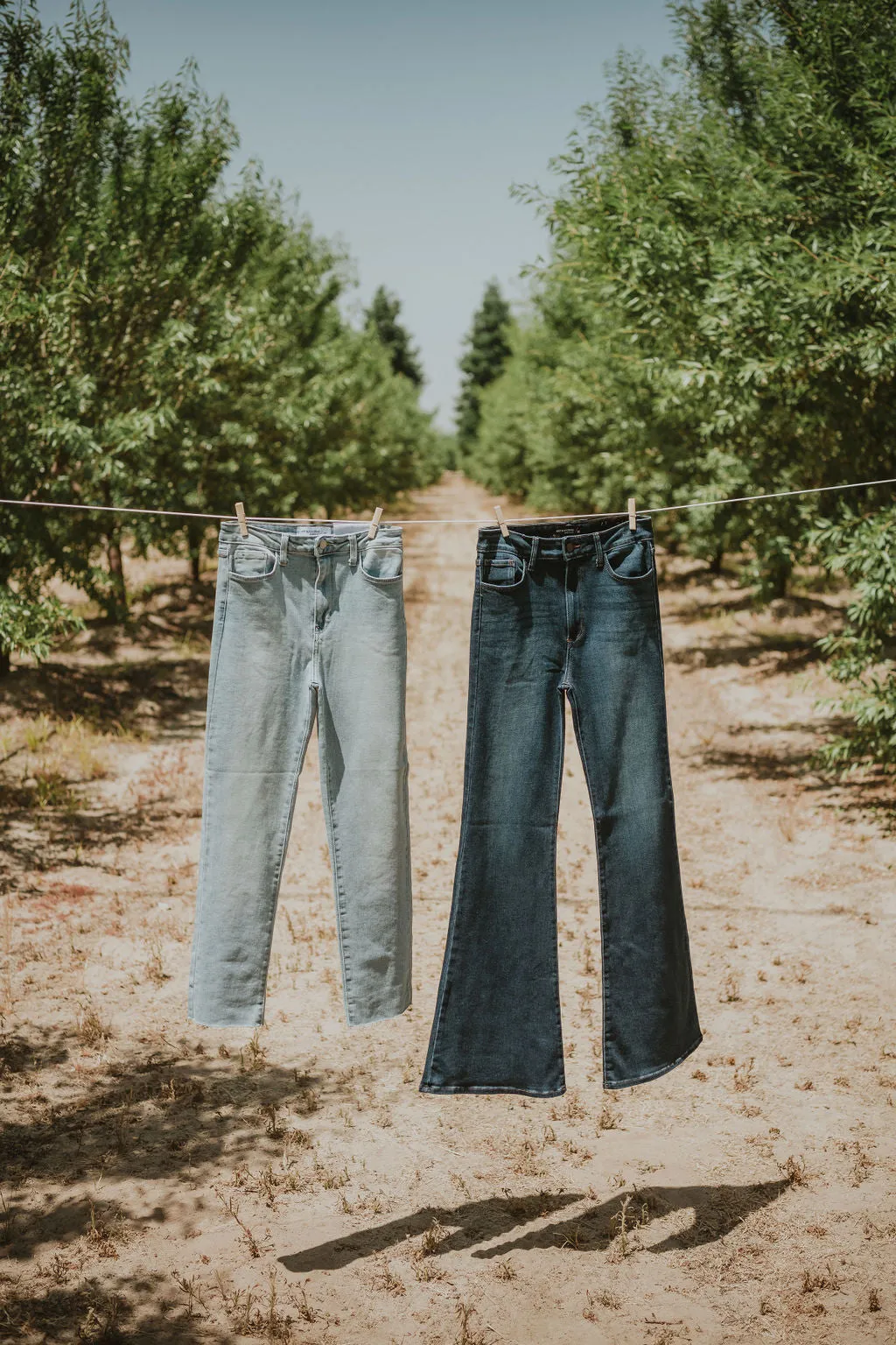Lily Jeans