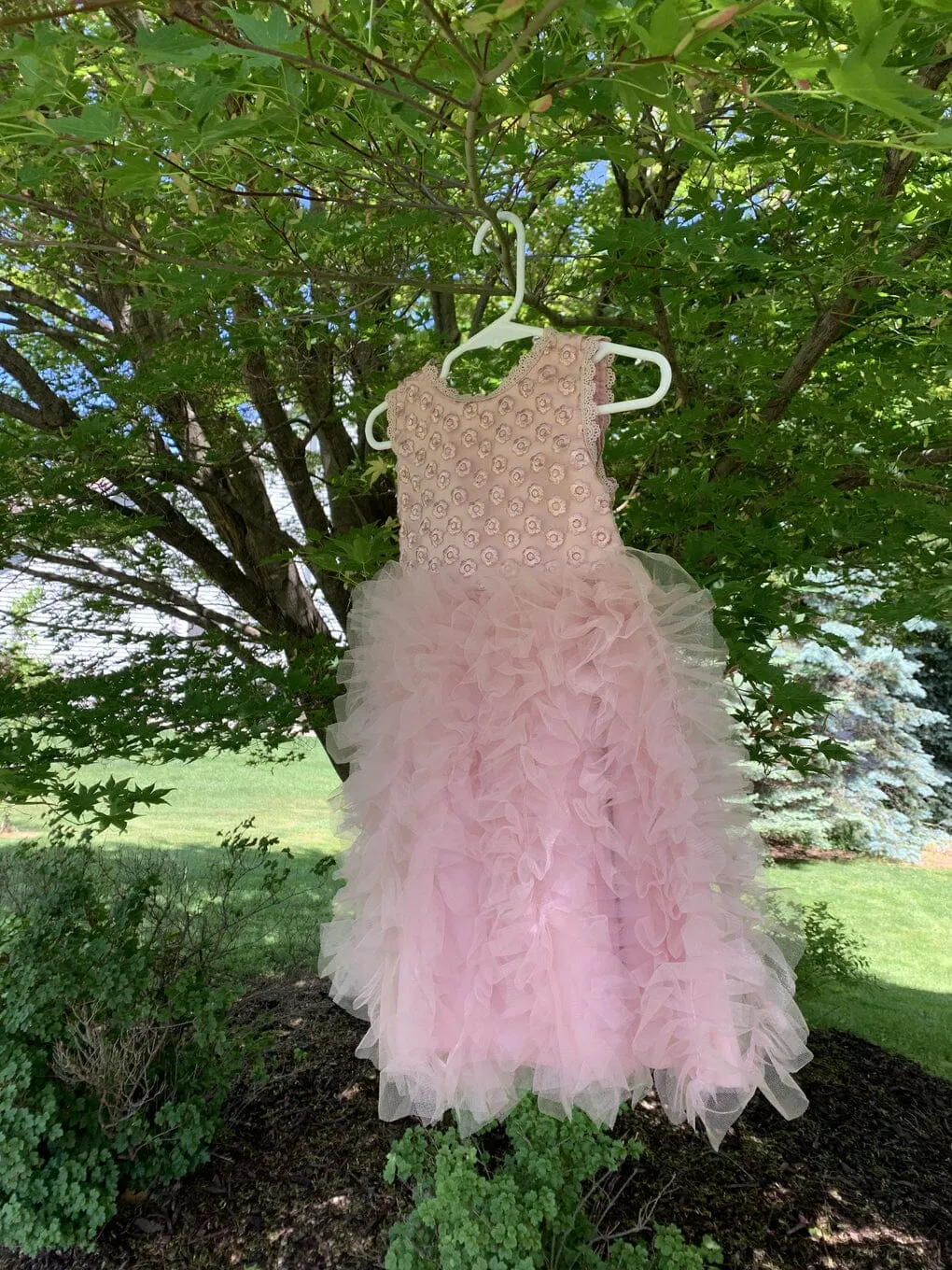 Little Princess Ruffle Lace Dress-Priority Shipping