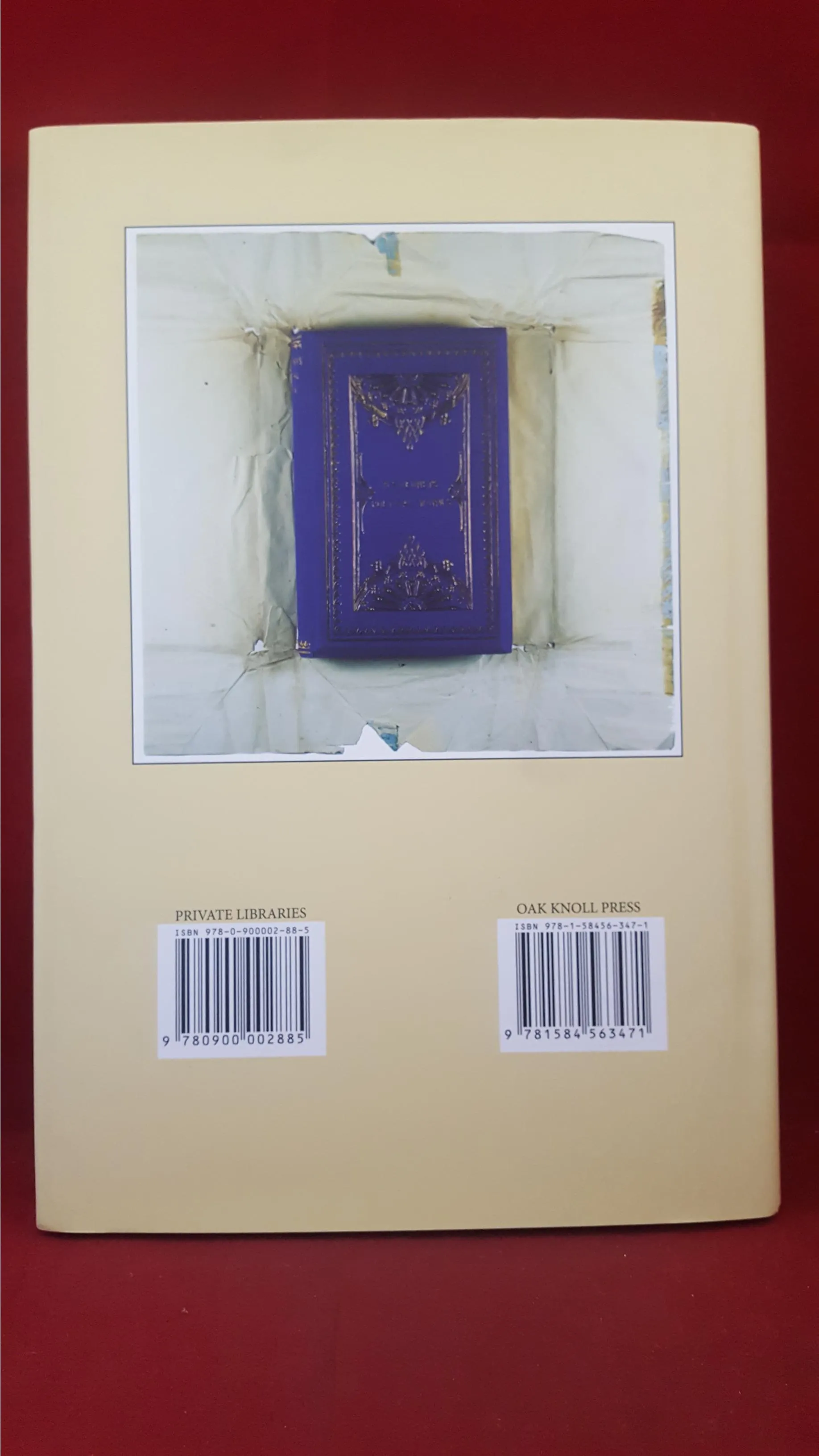 Mark R Godburn - Nineteenth-Century Dust-Jackets, Oak Knoll Press, 2016, Limited