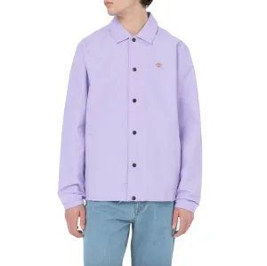 Oakport Coach Jack Purple Rose