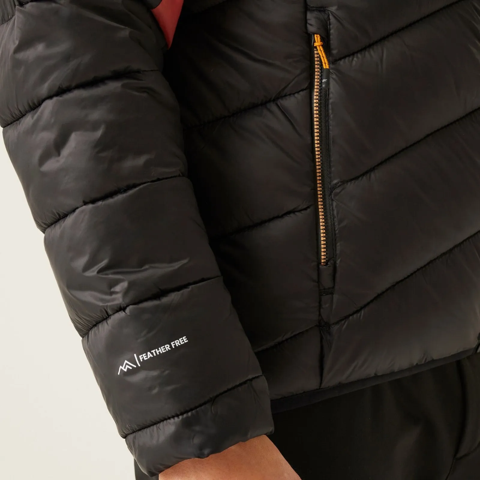 Regatta Mens Dalent Hooded Lightweight Padded Jacket