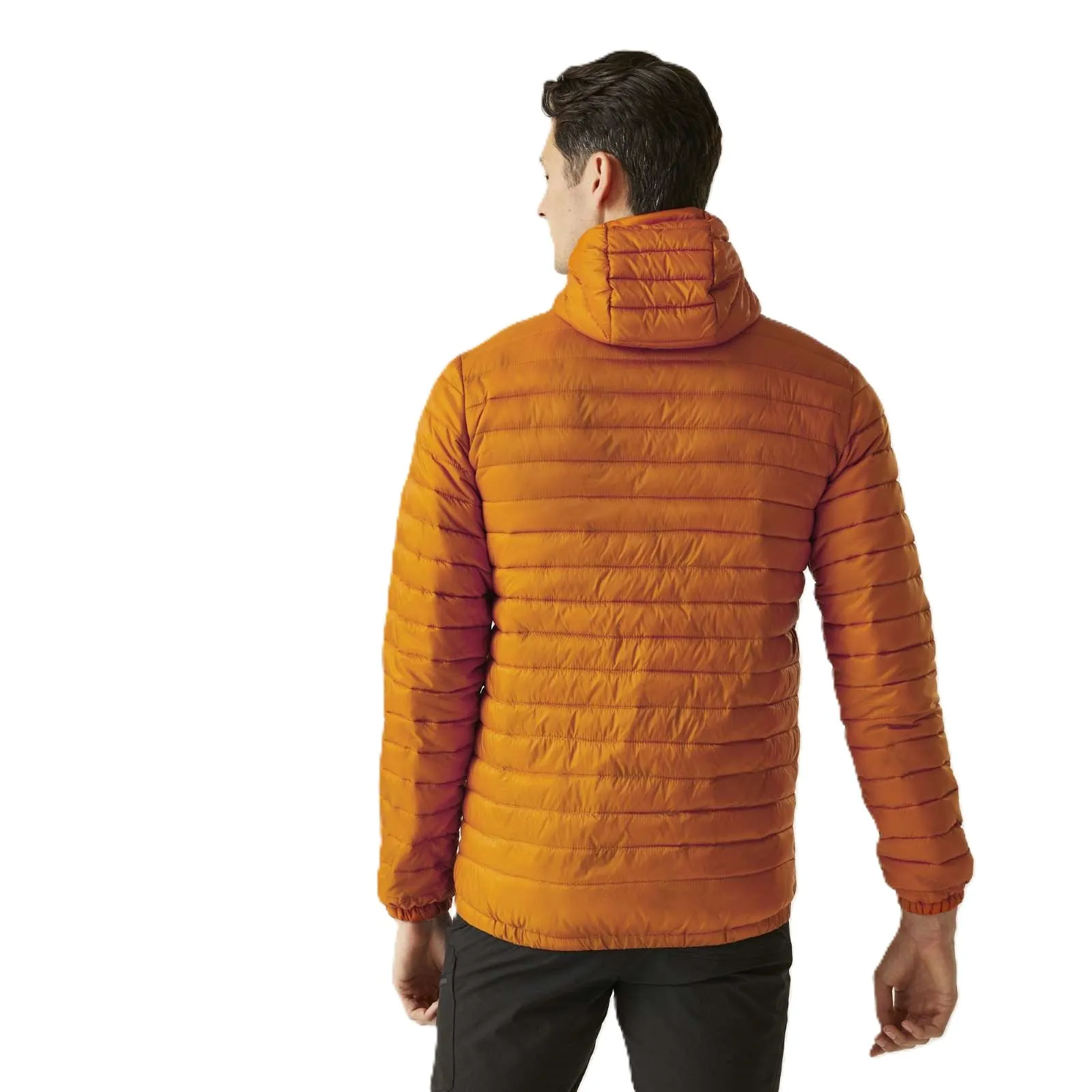 Regatta Mens Hurden Padded Jacket