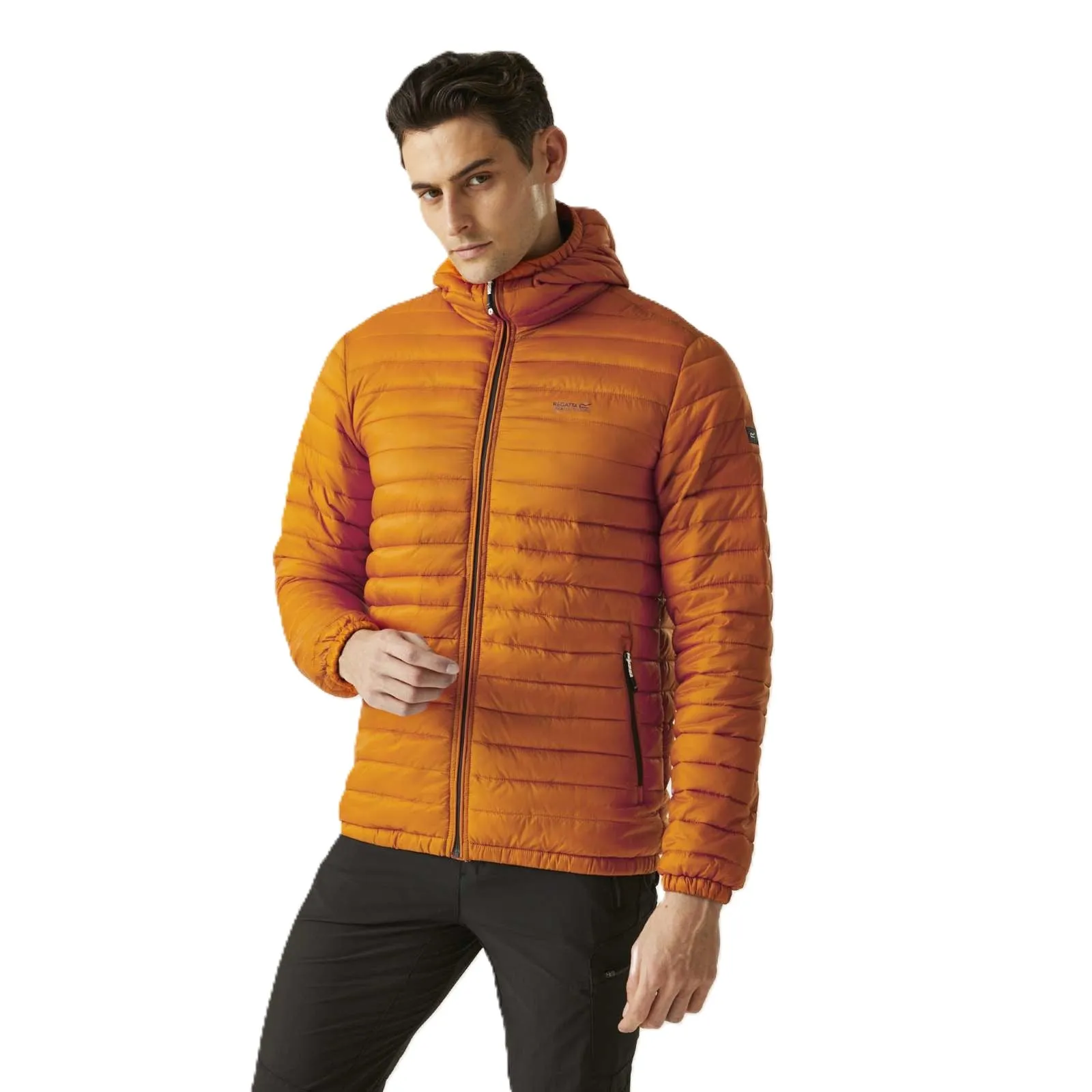 Regatta Mens Hurden Padded Jacket