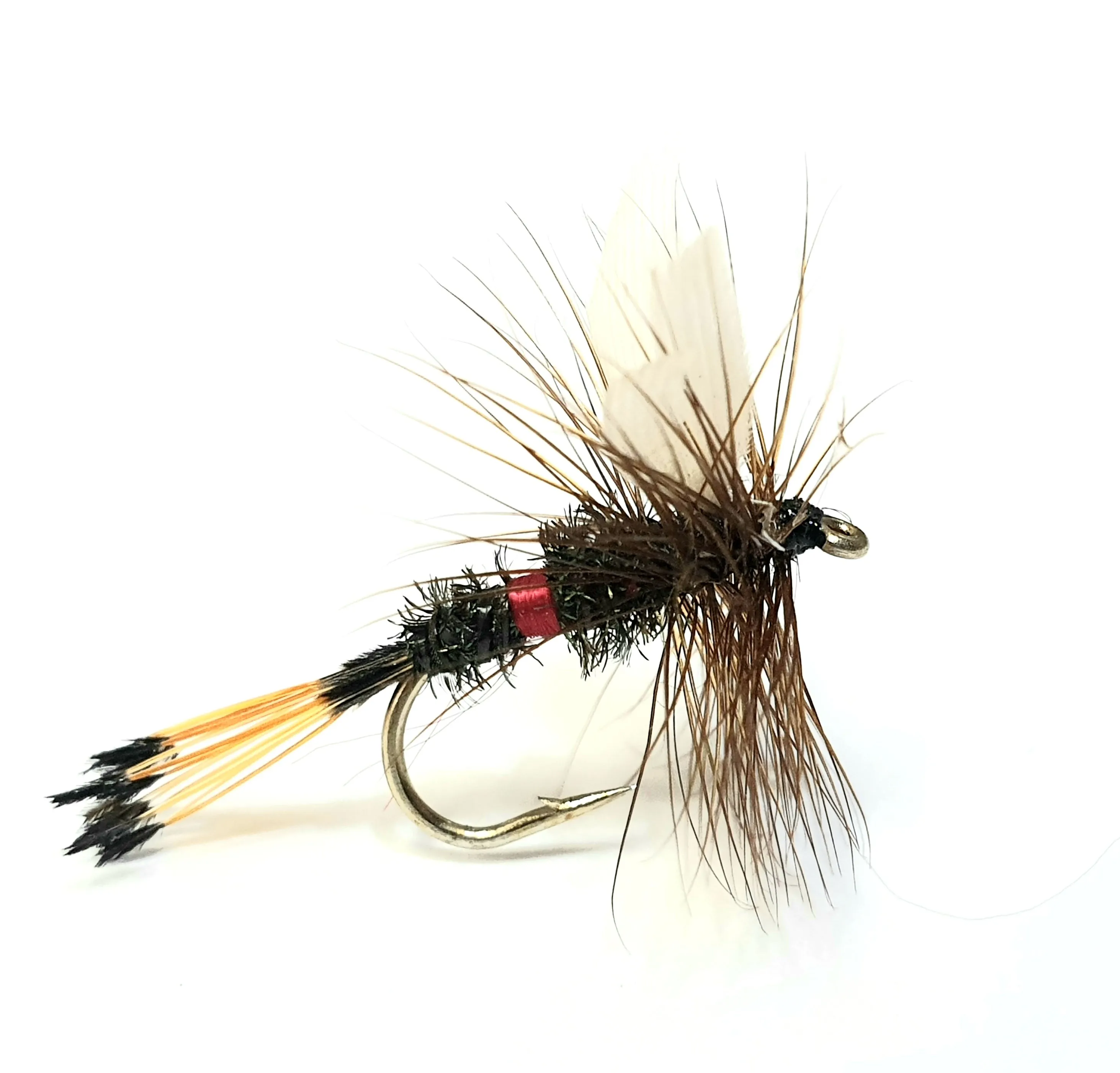 Royal Coachman