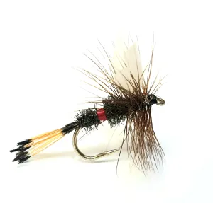 Royal Coachman