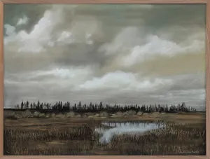 Storm Sky