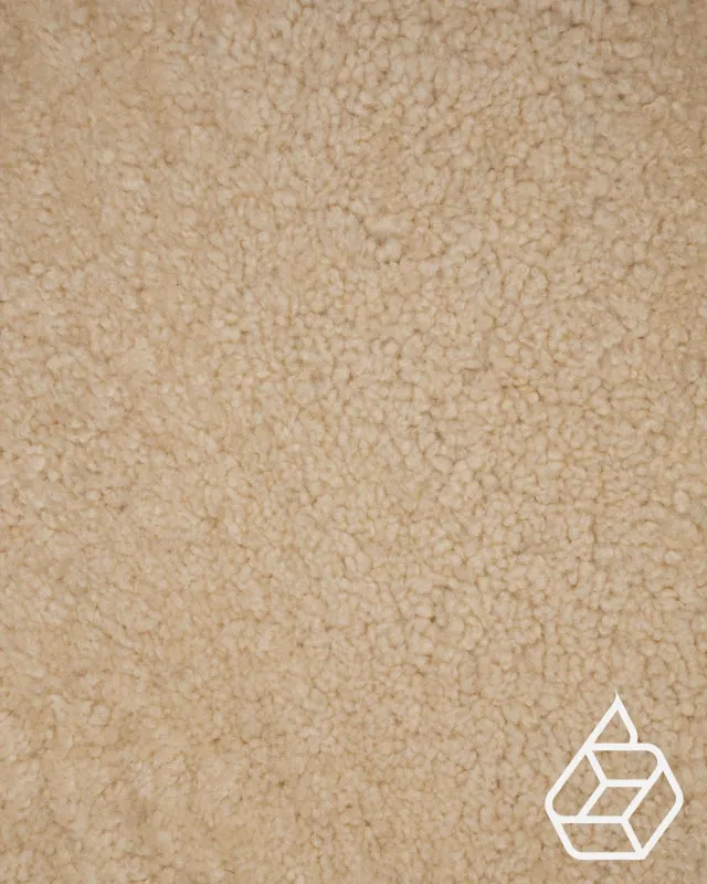Teddy Collection | Trendy sheepskin with curl