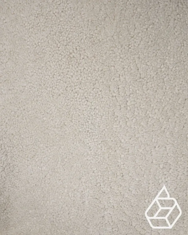 Teddy Collection | Trendy sheepskin with curl