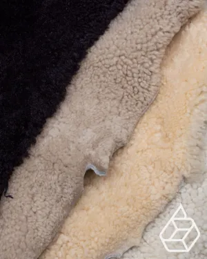 Teddy Collection | Trendy sheepskin with curl
