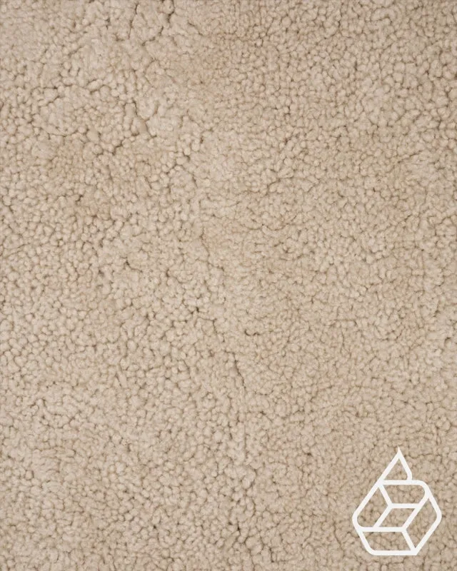Teddy Collection | Trendy sheepskin with curl