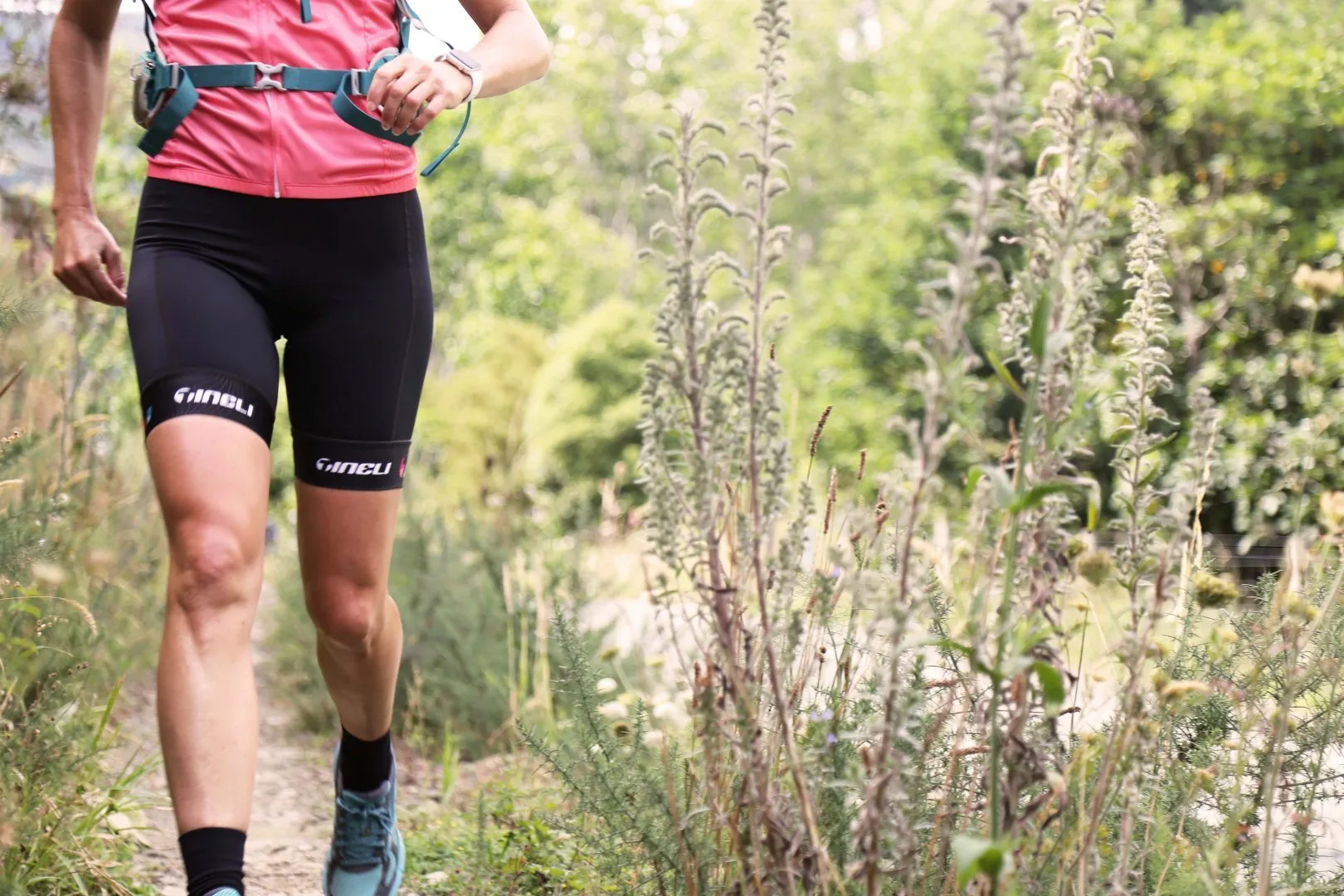 Women's Tri Shorts